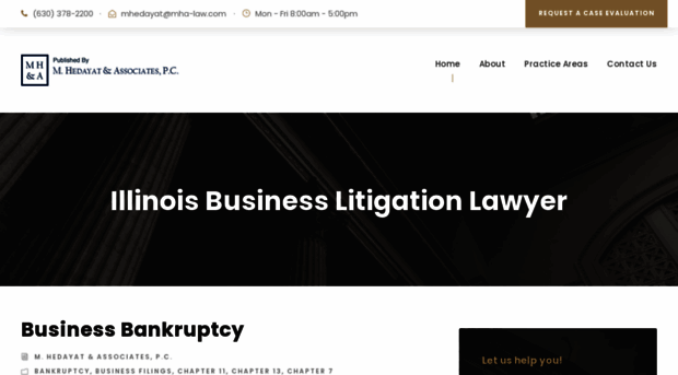 illinoisbusinesslitigationlawyer.com