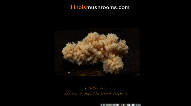 illinoismushrooms.com