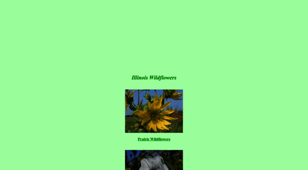 illinoiswildflowers.info