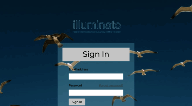 illuminateclasses.net