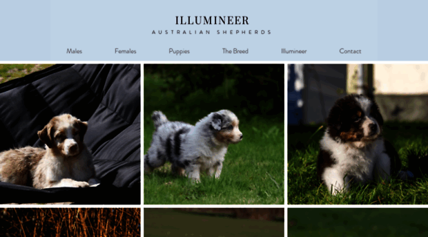 illumineer.dk