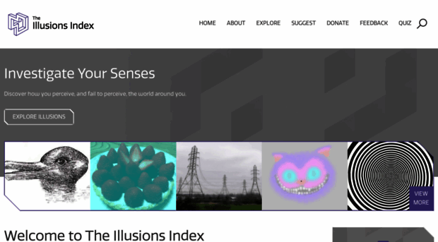 illusionsindex.org