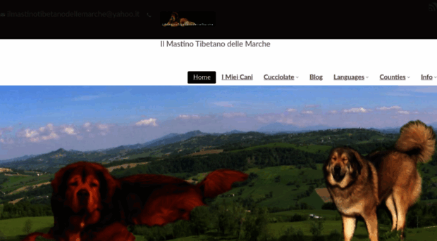 ilmastinotibetanodellemarche.it