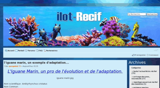 ilot-recif.com