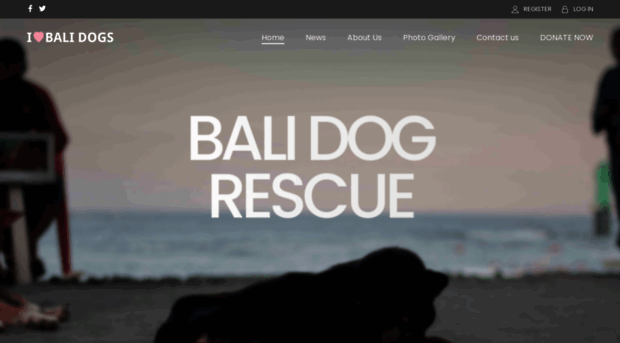 ilovebalidogs.org