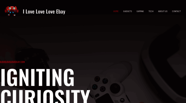 iloveloveloveebay.com