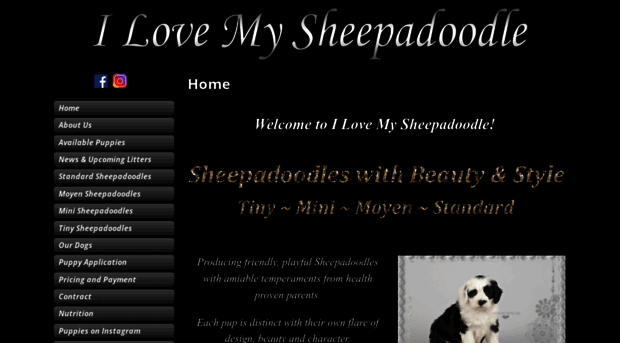 ilovemysheepadoodle.com