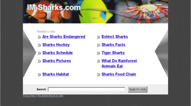 im-sharks.com