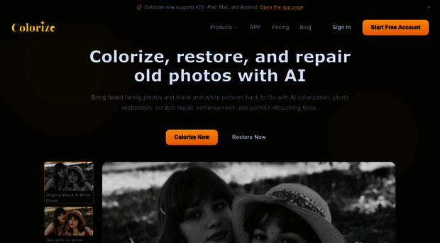 imagecolorizer.com