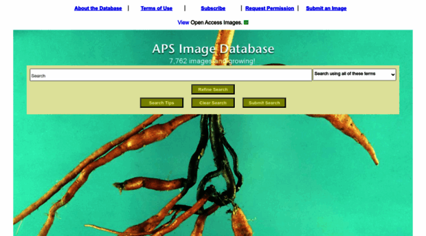 imagedatabase.apsnet.org