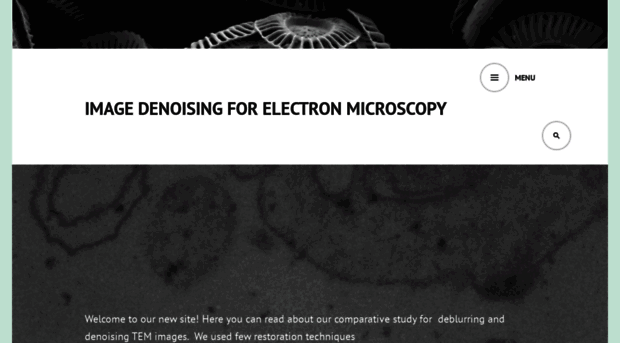 imagedenoisingforelectronmicroscopy.wordpress.com