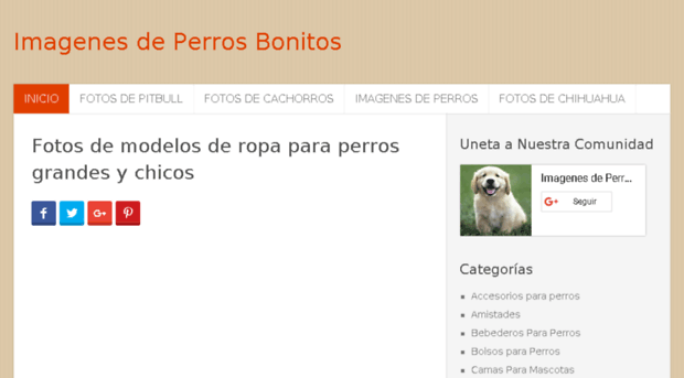 imagenesdeperrosbonitos.com