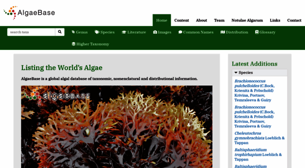 images.algaebase.org