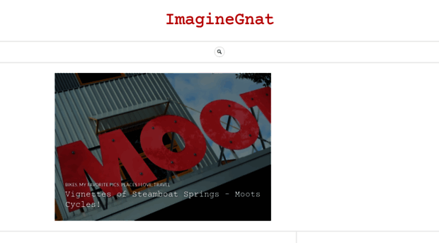 imaginegnat.com