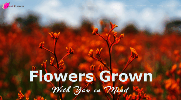 imaniflowers.co.ke