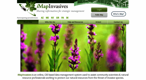 imapinvasives.org