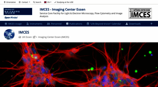 imces.uk-essen.de