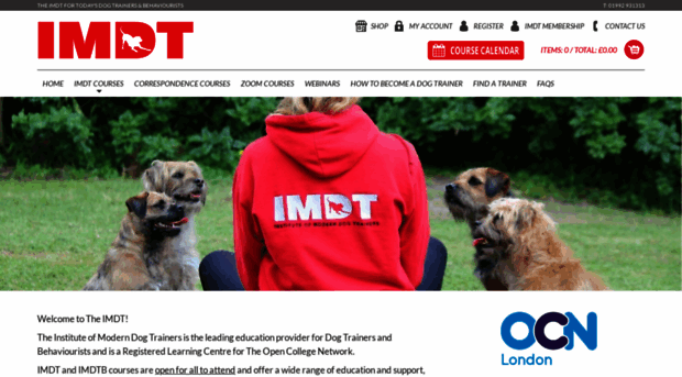 imdt.uk.com