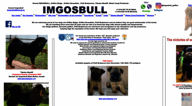 imgosbullpuppies.ru