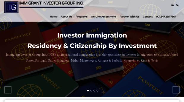 immigrantinvestorgroup.com