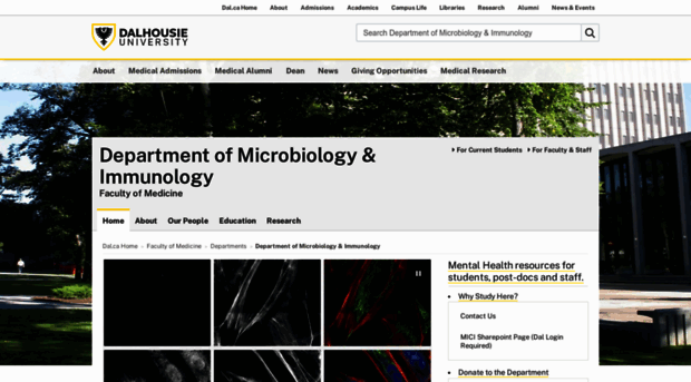 immunology.medicine.dal.ca