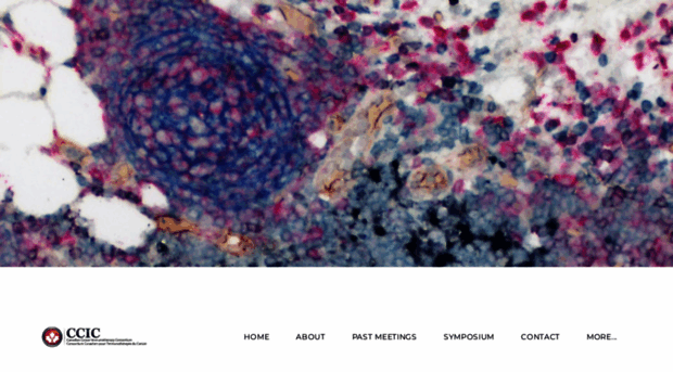 immunotherapycancer.ca