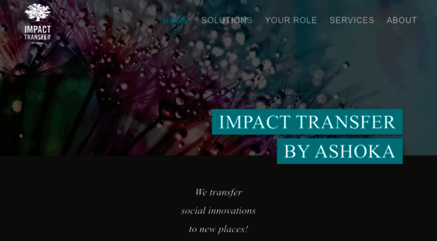 impact-transfer.org