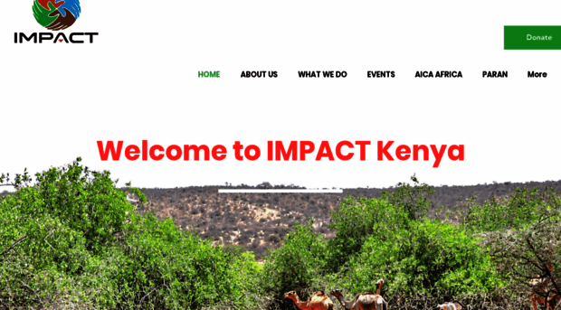 impactkenya.org