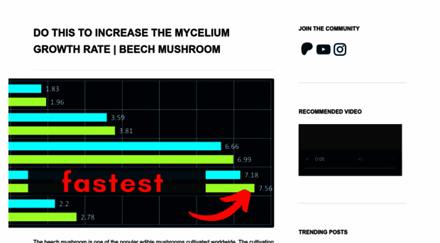 improvemushroomcultivation.com