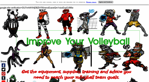 improveyourvolley.com