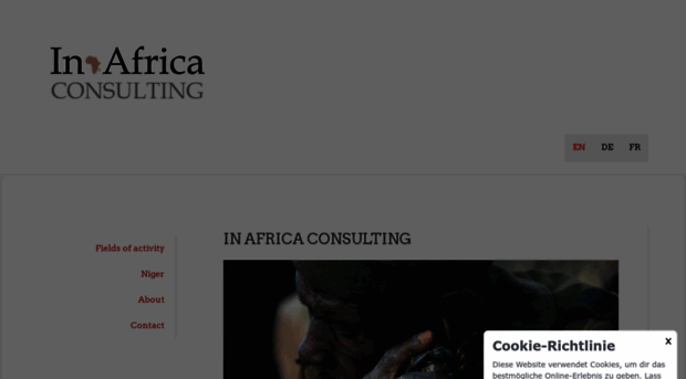 in-africa-consulting.com