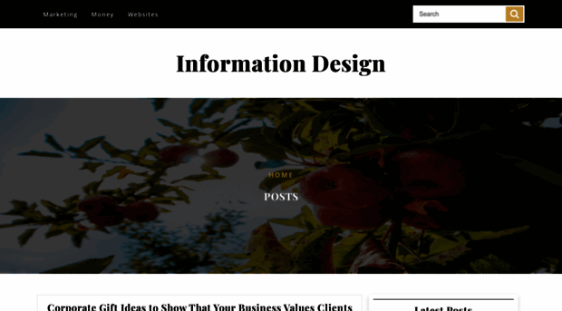 in-formation-design.com