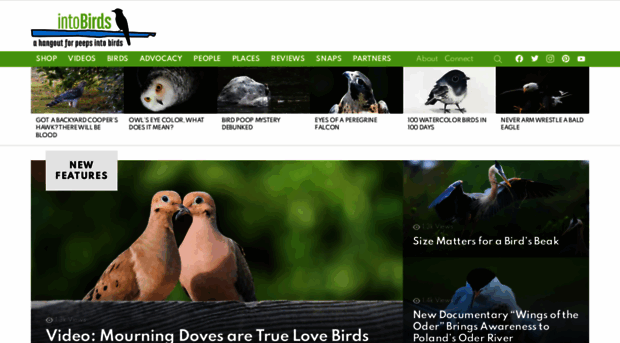 in2birds.com