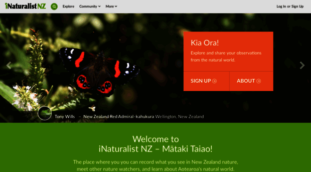 inaturalist.nz