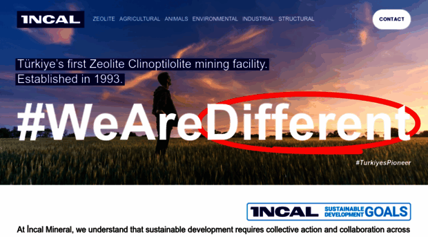 incalzeolite.com