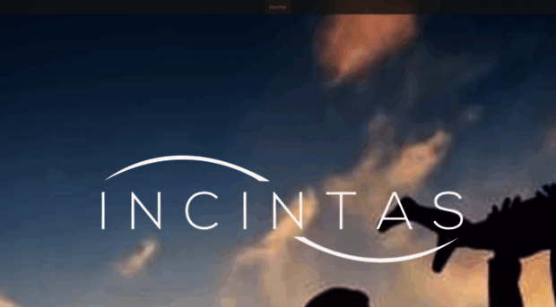 incintas.com
