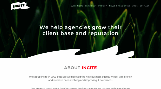 incitenewbusiness.co.uk