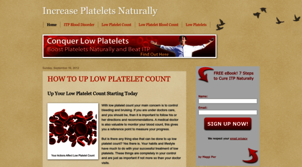 increase-platelets.blogspot.com