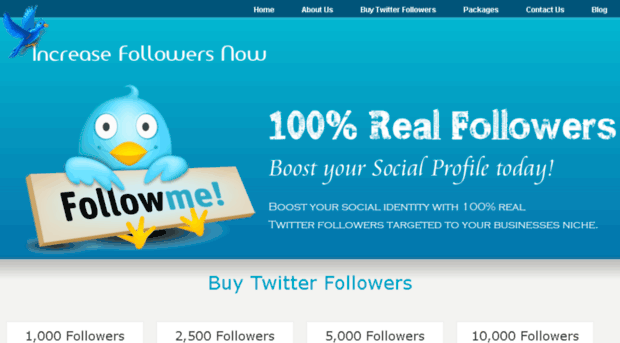 increasefollowernow.com