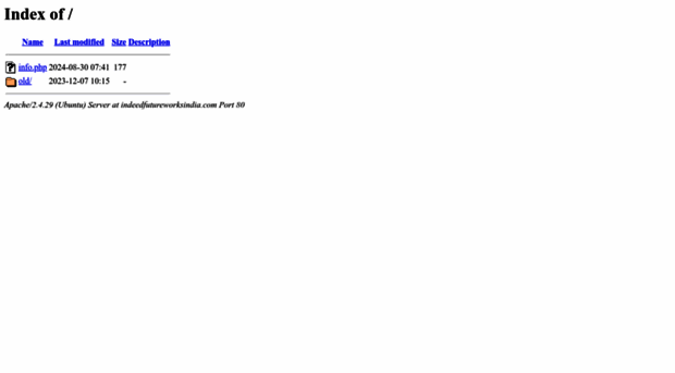 indeedfutureworksindia.com