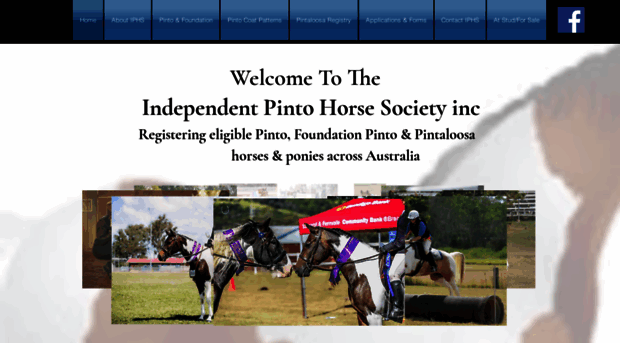 independentpintohorsesociety.com