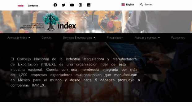 index.org.mx