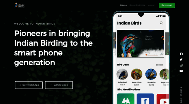 india-birds.com