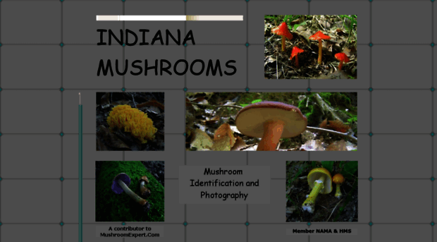 indianamushrooms.com