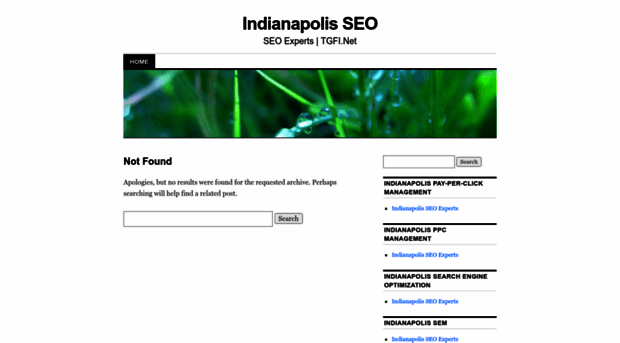 indianapolisseo.wordpress.com