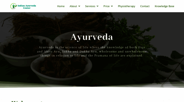 indianayurvedacenters.com