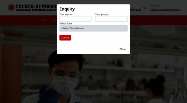 indiancouncils.com