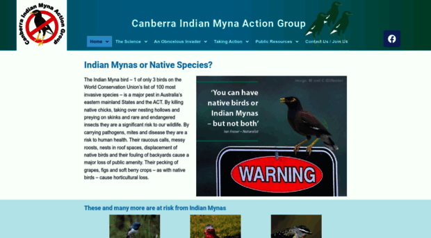 indianmynaaction.org.au