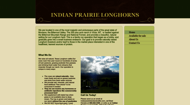 indianprairielonghorns.com