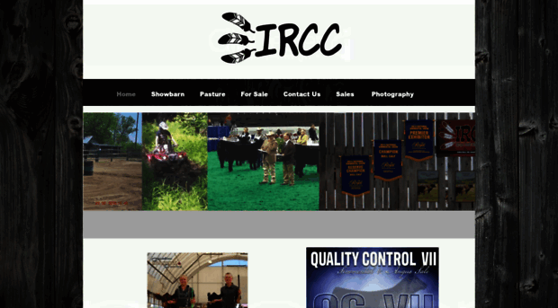 indianrivercattlecompany.com